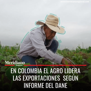 En Colombia el agro lidera las exportaciones según informe del Dane - meridiano regional - noticias cauca - noticias colombia - noticias mas leídas - tendencias - actualidad - exportaciones - Meridiano Regional En Colombia el agro lidera las exportaciones según informe del Dane - meridiano regional - noticias cauca - noticias colombia - noticias mas leídas - tendencias - actualidad - exportaciones