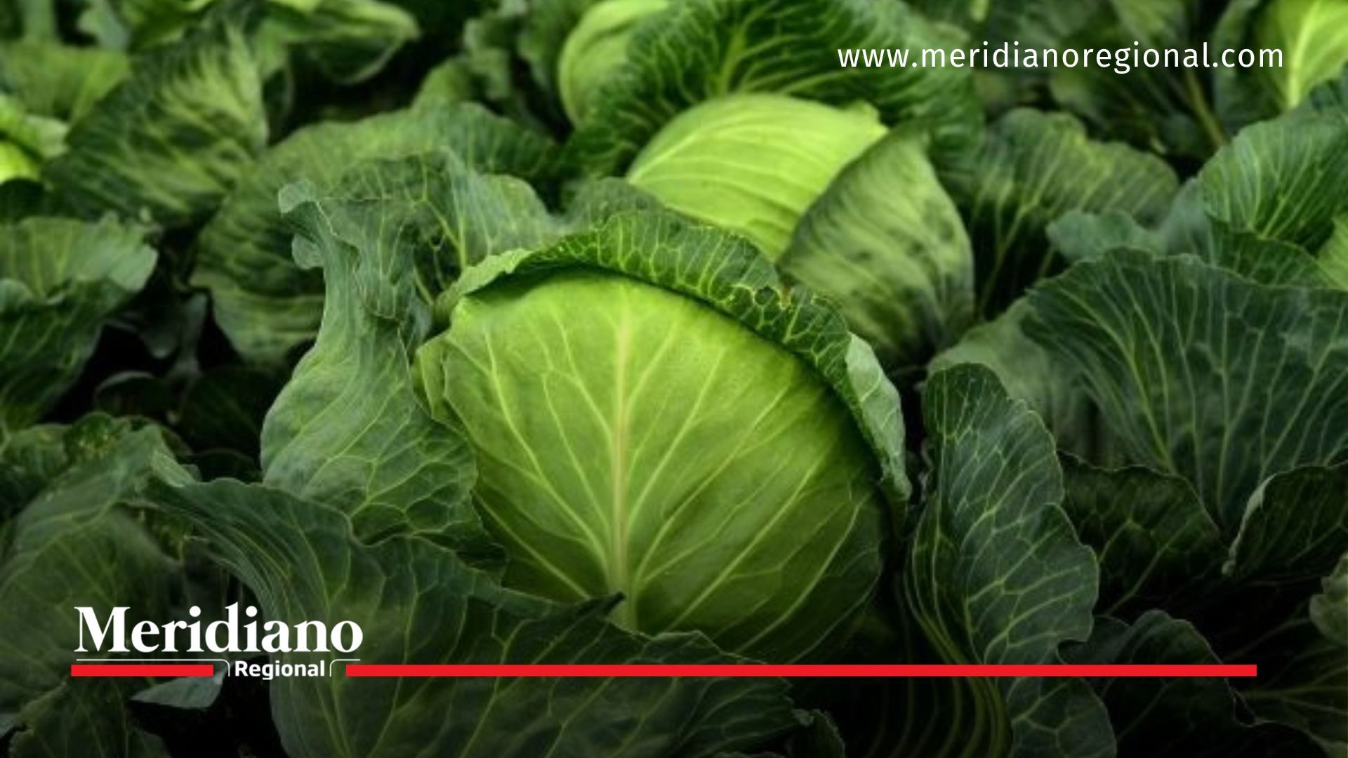 En Colombia aumentan los precios de frutas y verduras