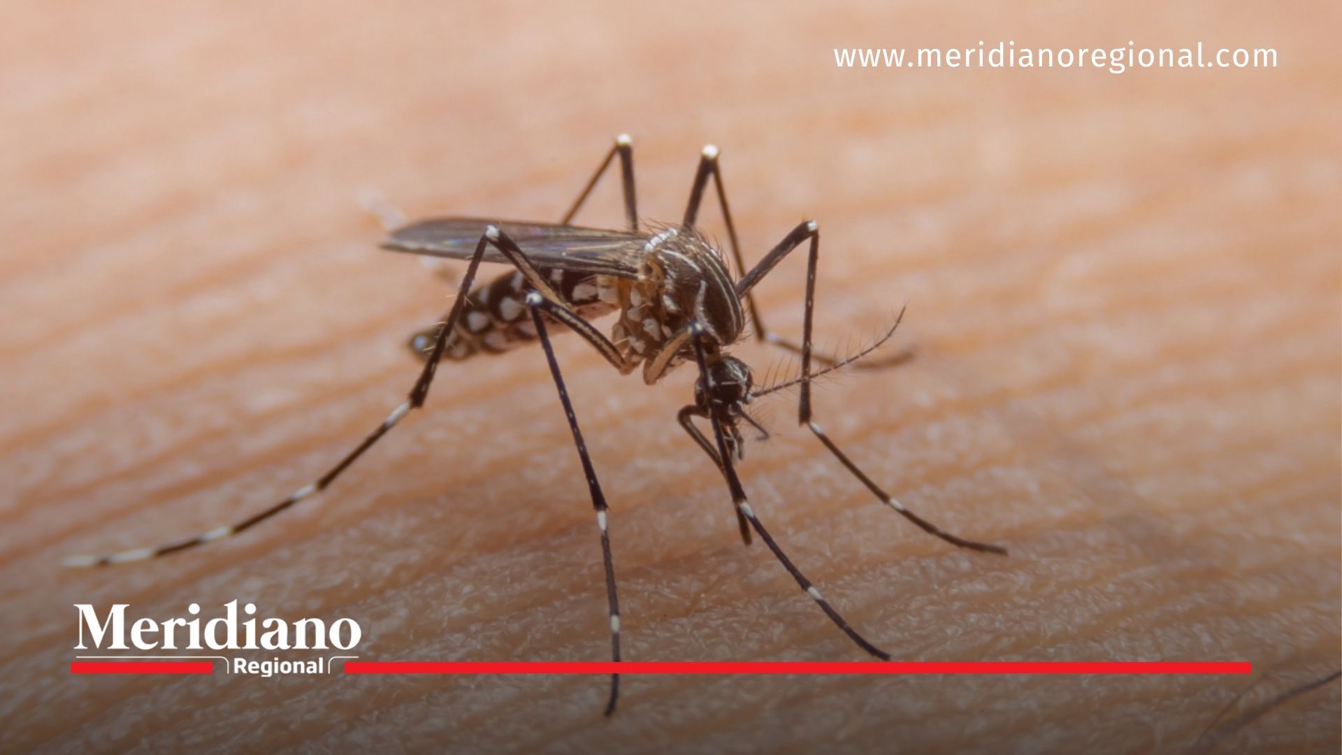 Las comunas con más casos de dengue en Popayán según la Alcaldía
