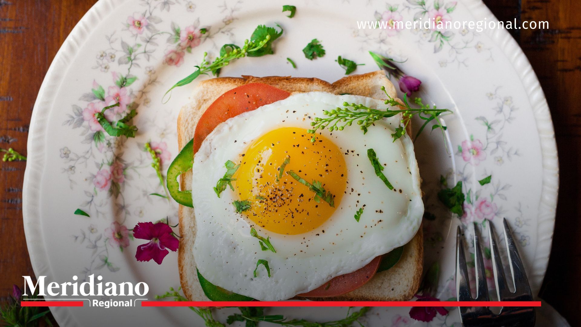 Estudio revela el límite seguro de consumo de huevos
