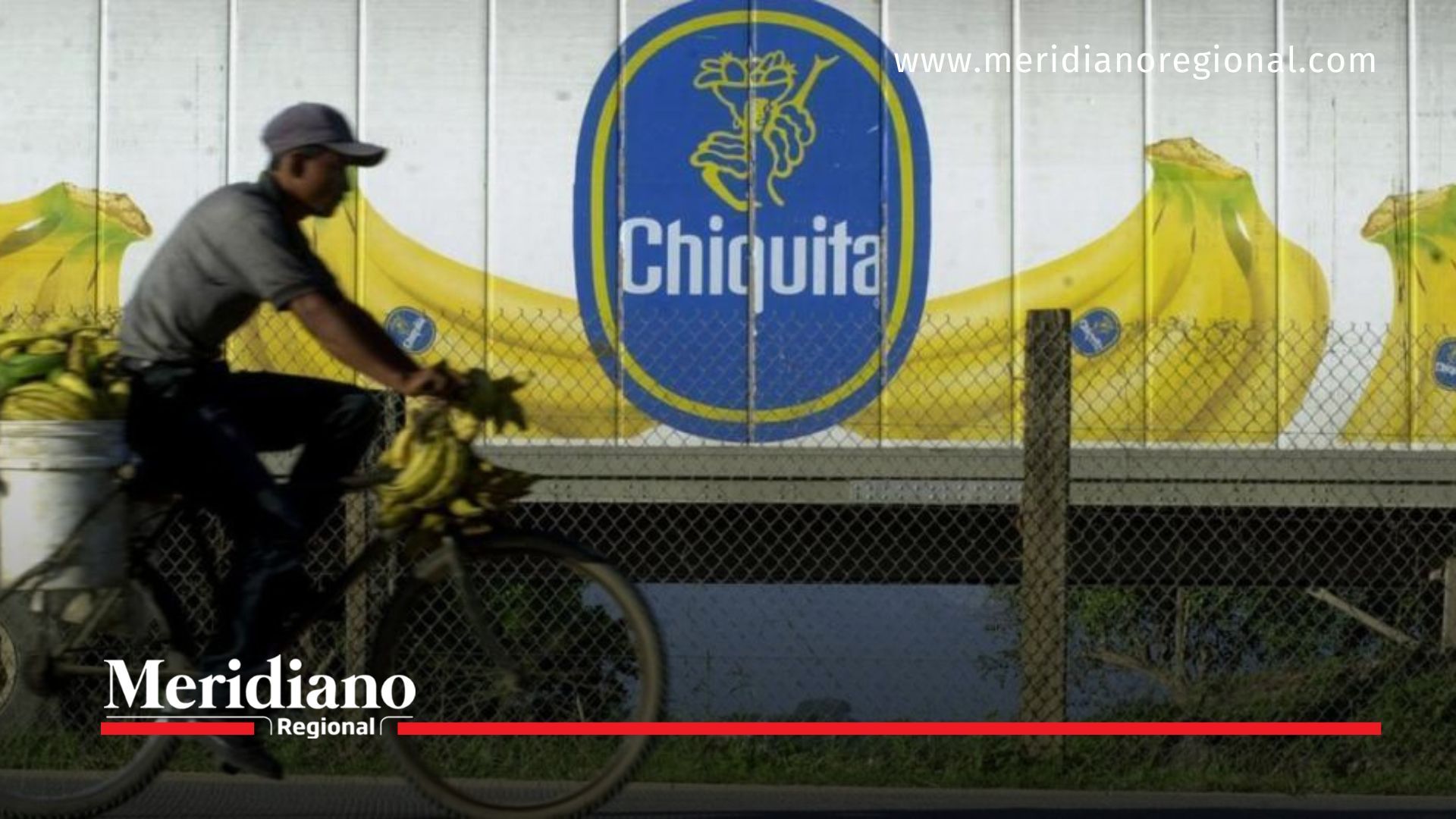 Chiquita Brands no podría pagar indemnizaciones por víctimas del paramilitarismo