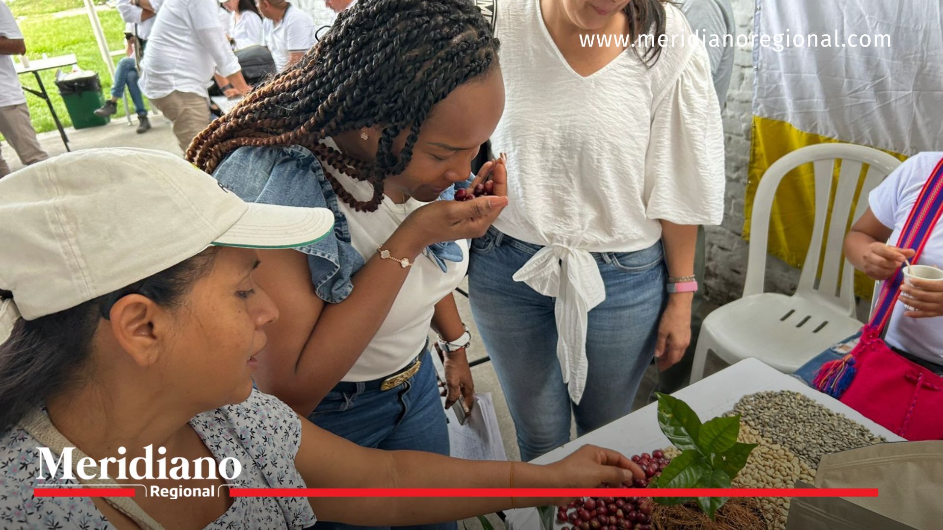 Gobernación del Valle del Cauca y Comité de Cafeteros lanzan la convocatoria Valle Café