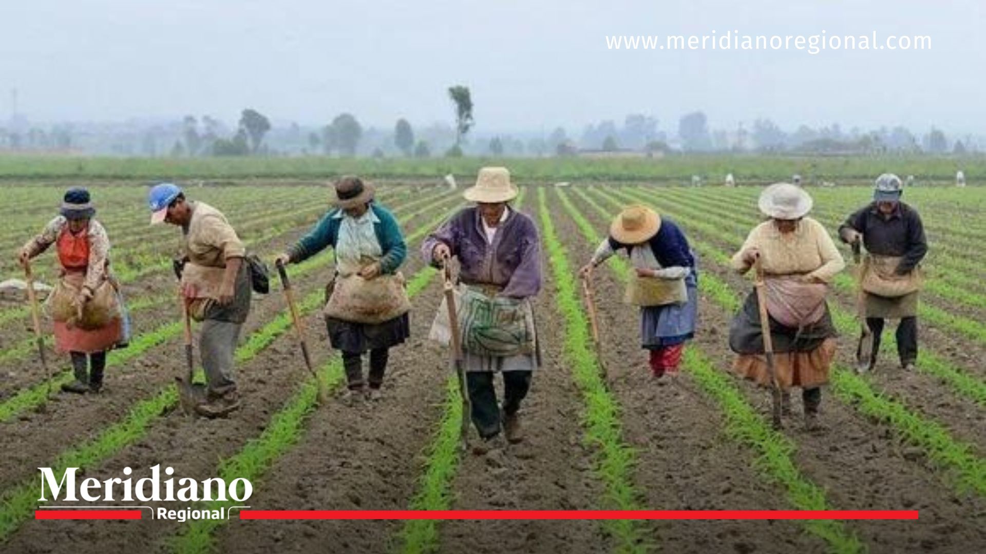 Aumenta la población campesina en Colombia a 10,64 millones de personas