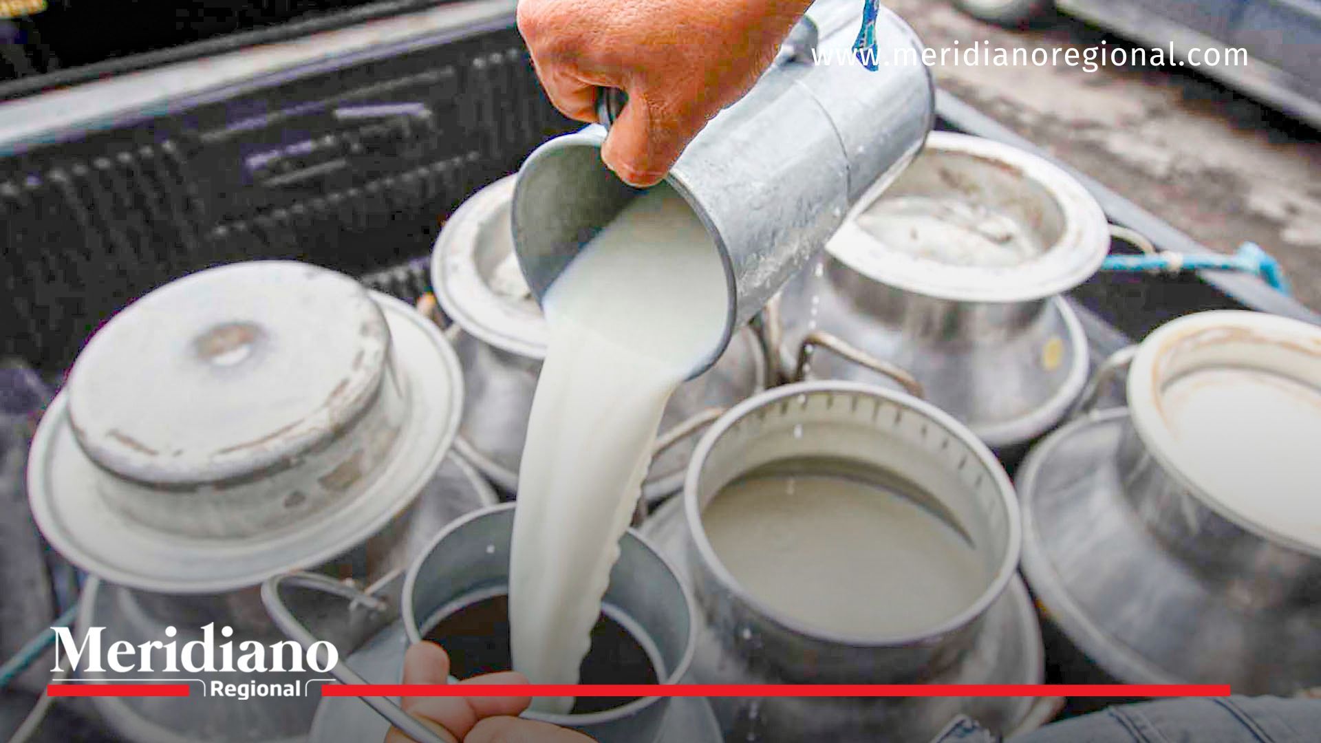 Comercialización de leche se redujo en un 35% en el Cauca