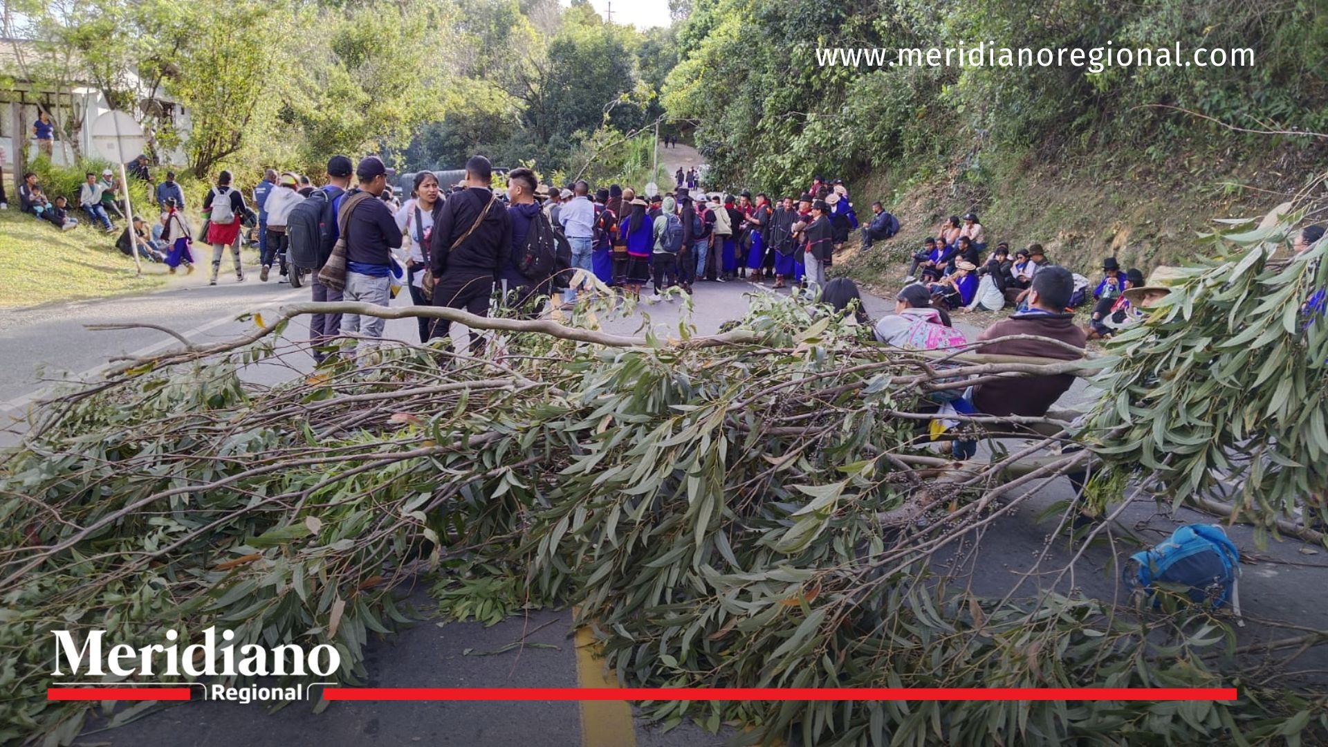 Gremios de Nariño y Cauca lanzan alerta ante constantes bloqueos en la Panamericana