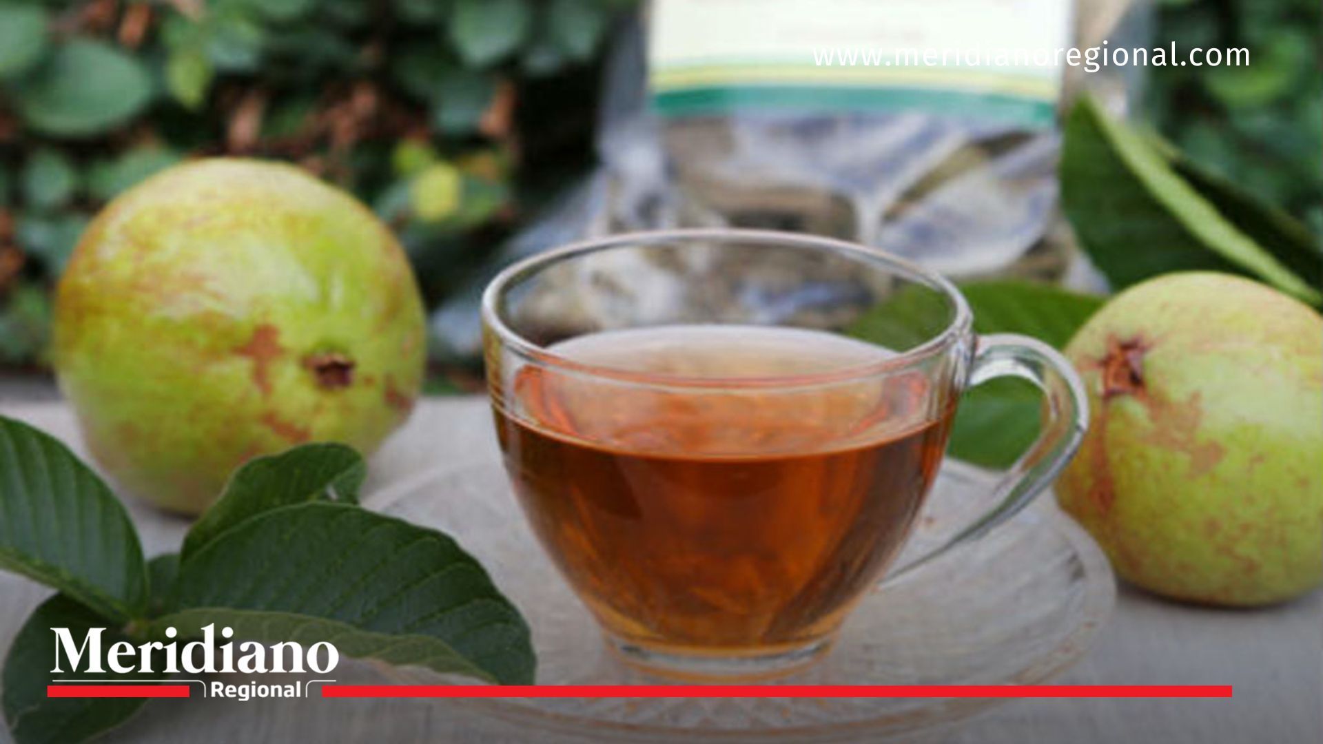 Importancia de Consumir Té de hojas de Guayaba: Beneficios y recomendaciones