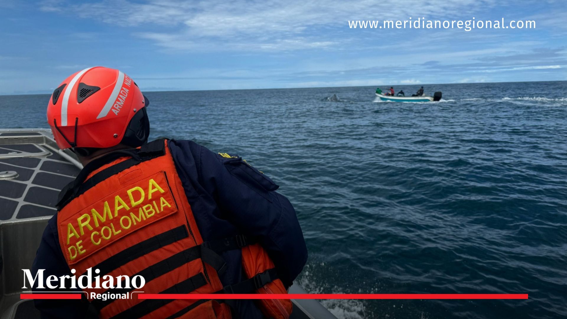 ballena