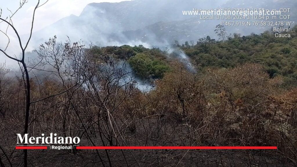 Los incendios devastaron más de 60 hectáreas de cultivos agrícolas y 20 hectáreas de reserva natural.