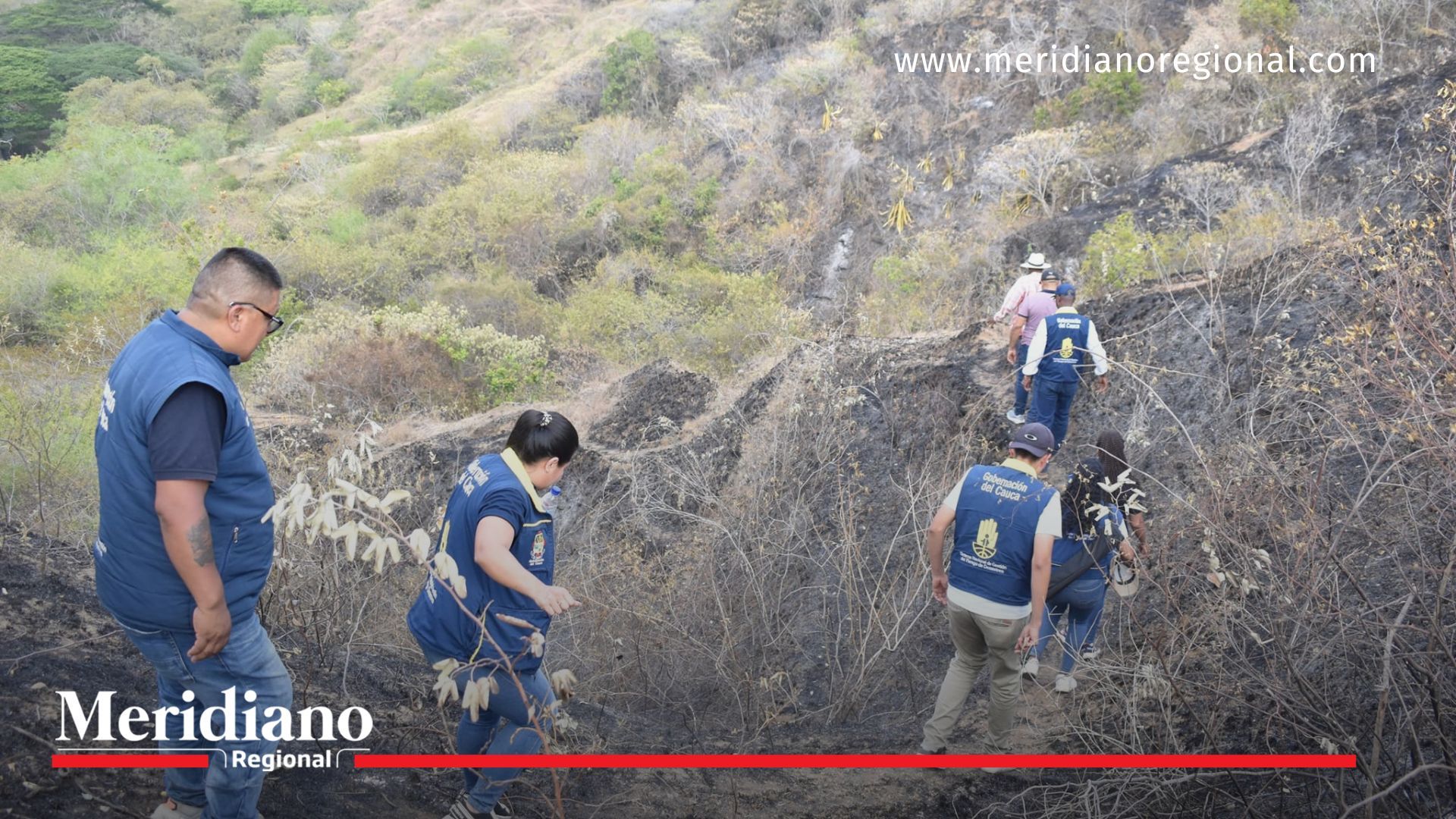 Trabajo en equipo logró extinguir incendio forestal en Patía