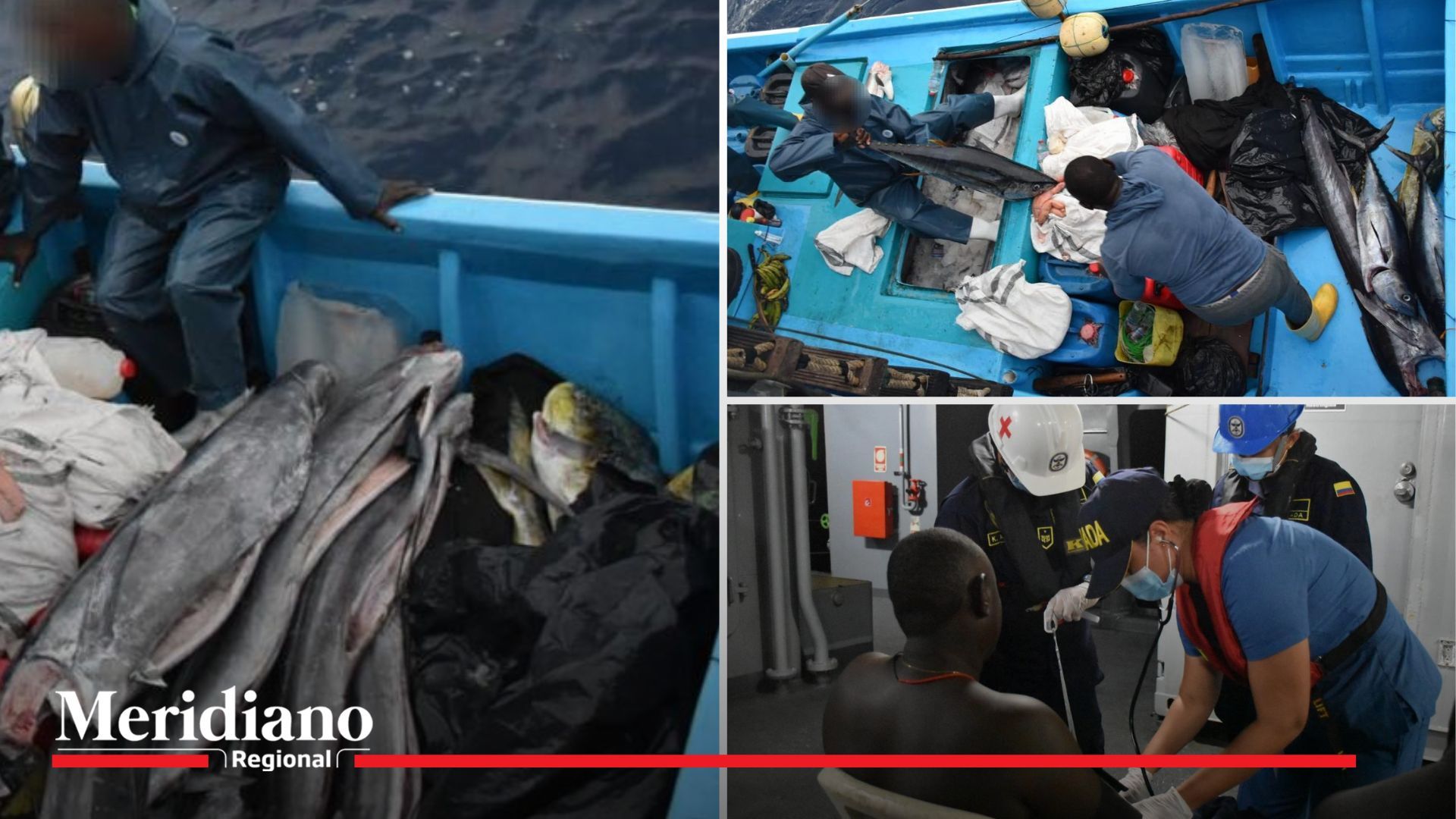 ¡Armada Colombiana intercepta embarcación con pesca ilegal!