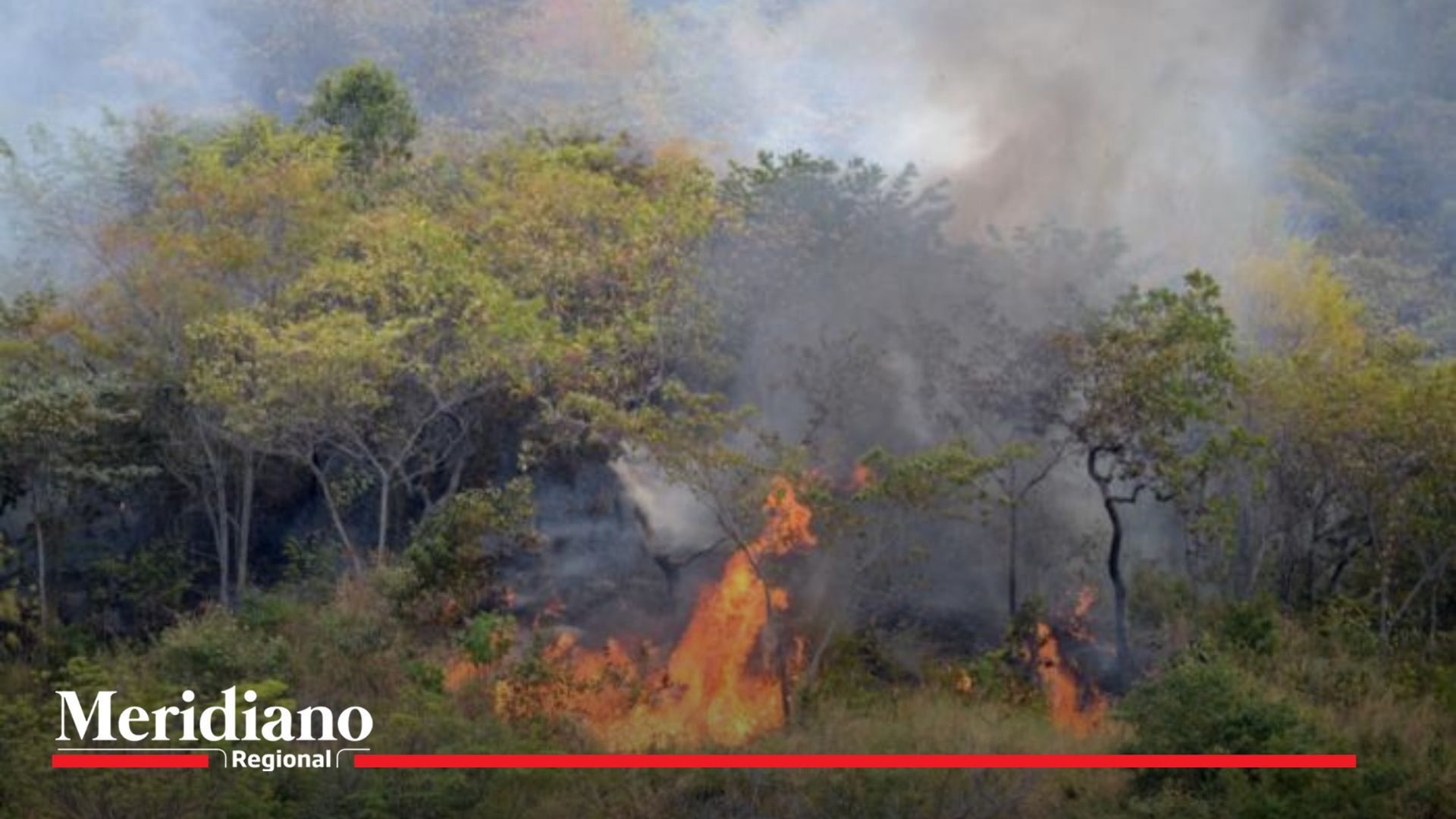 En el Huila decretan calamidad pública por incendios forestales 1.200 hectáreas afectadas