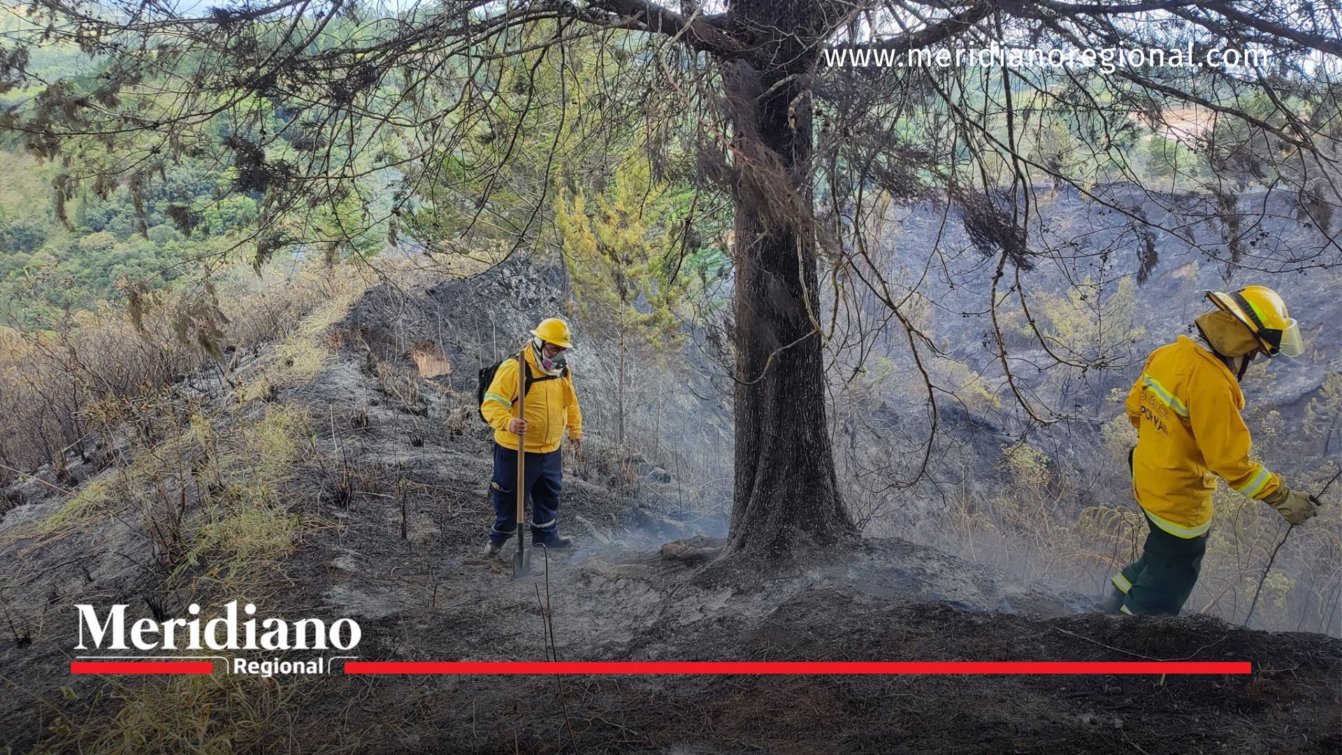 Cauca en alerta por incendios forestales