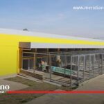 REFUGIO ANIMAL (2) - Meridiano Regional