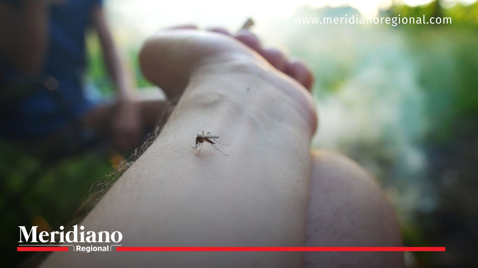 de dengue