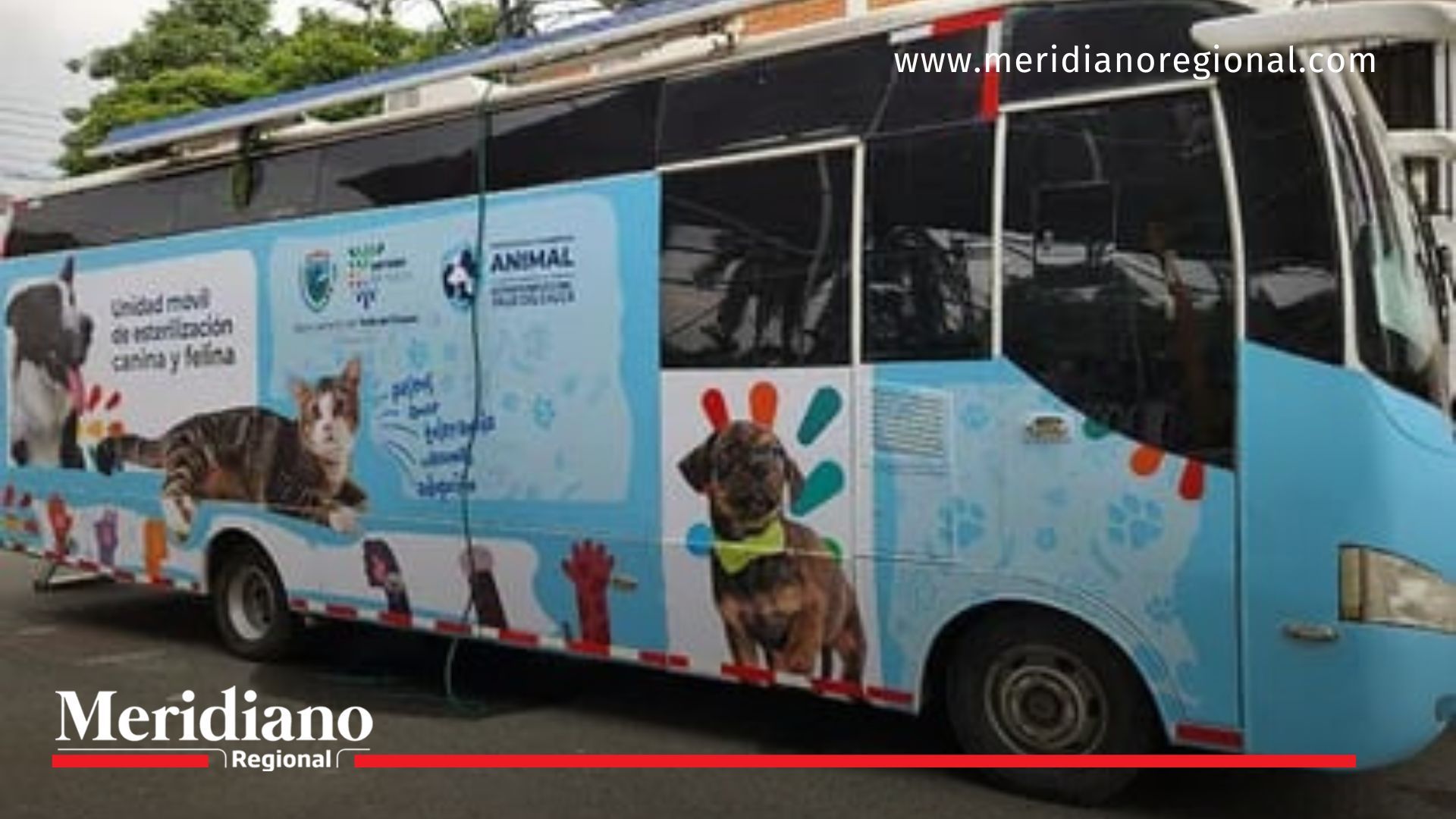Esterilización gratuita, quirófano móvil visitara 12 municipios del Valle del Cauca