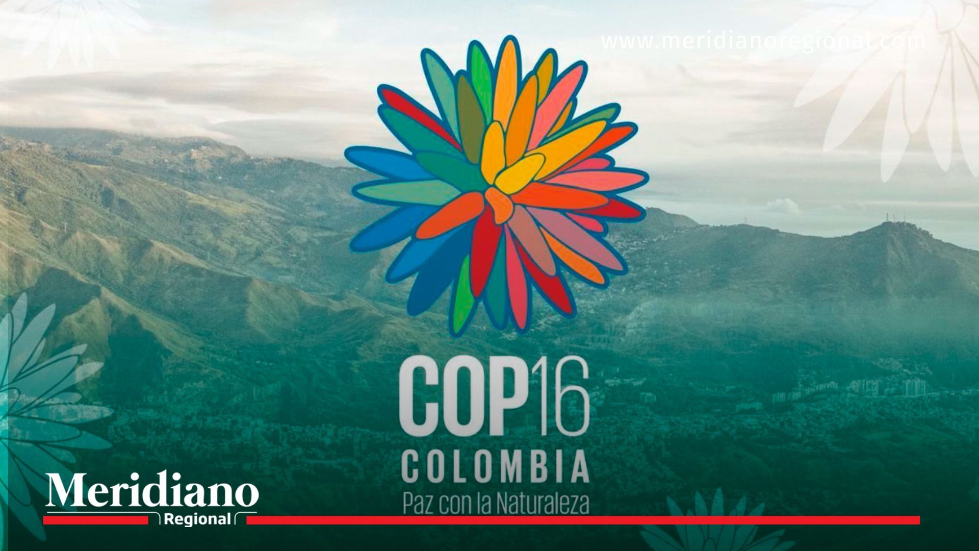 Valle del Cauca se prepara para la COP16