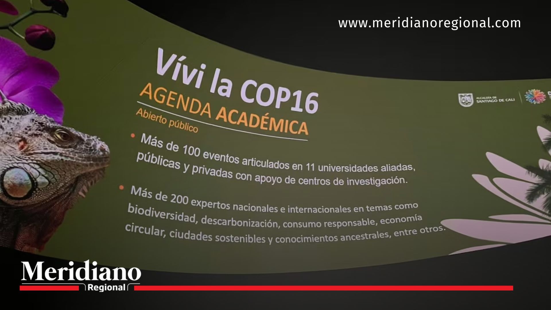 Prográmese, así será la agenda de la COP16