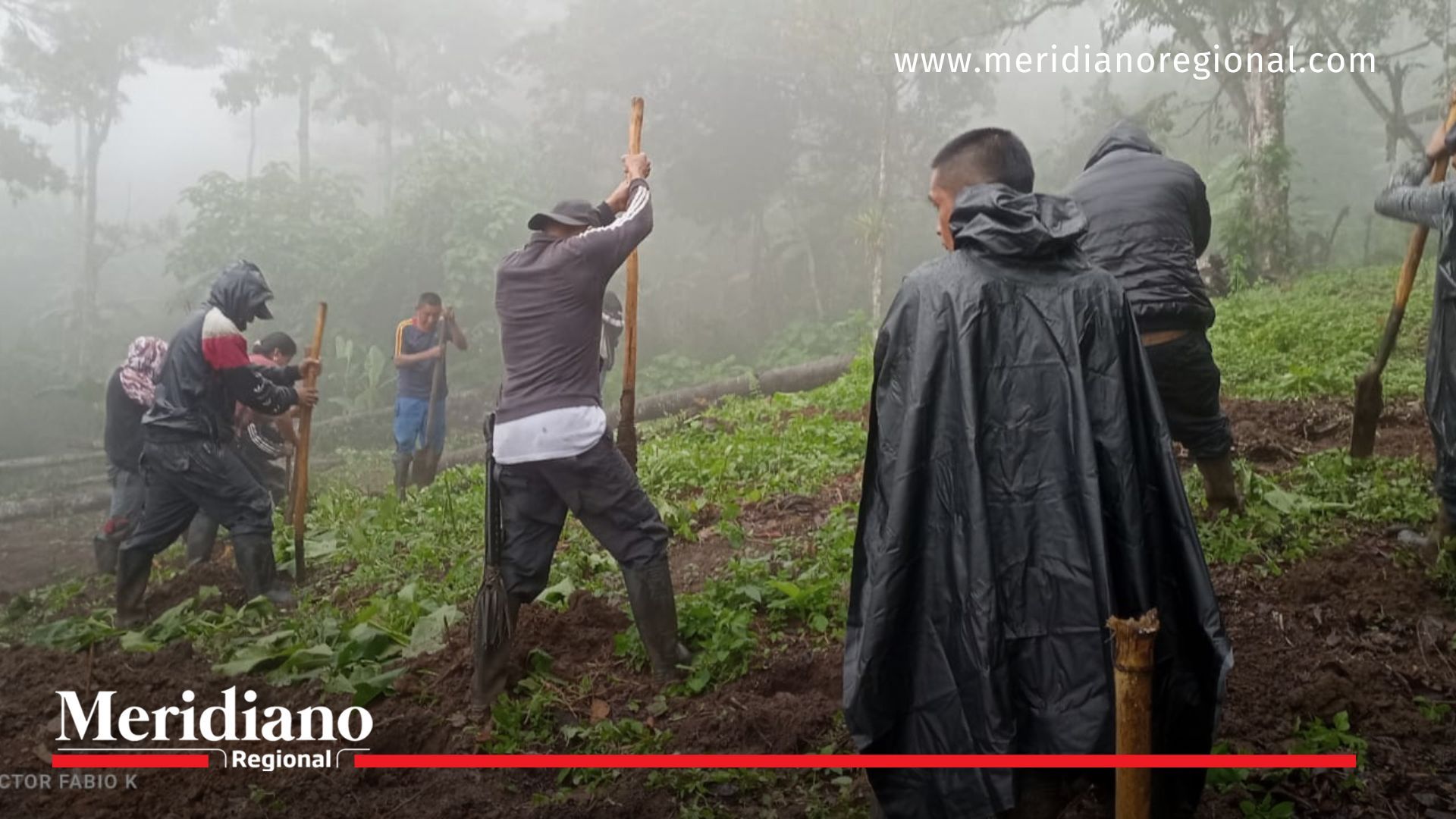 Agricultores de Caloto protestarán en la vía Panamericana exigiendo apoyo del gobierno para proyecto de sustitución