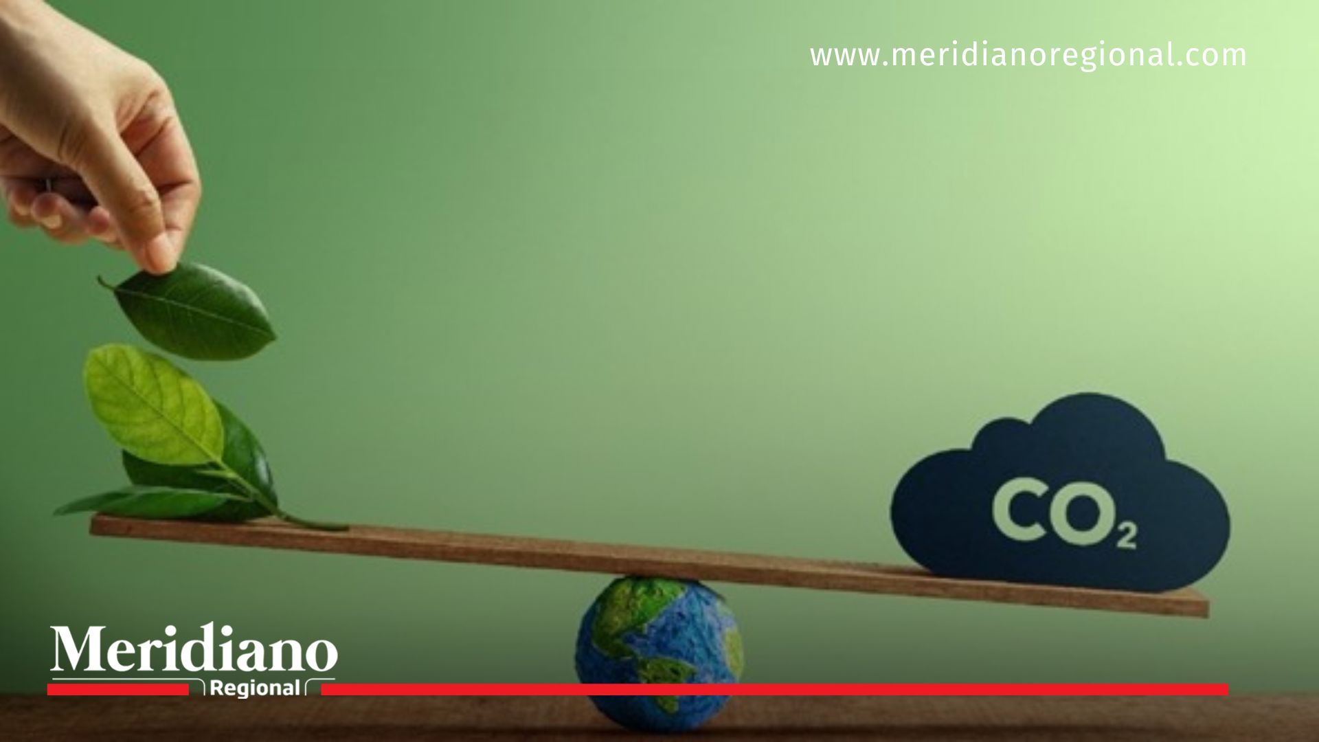 Mercados de Carbono: Clave para Clima y Biodiversidad
