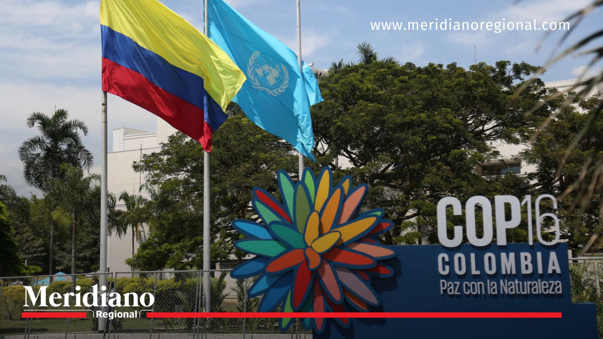 Valle del Cauca se prepara para la histórica COP16