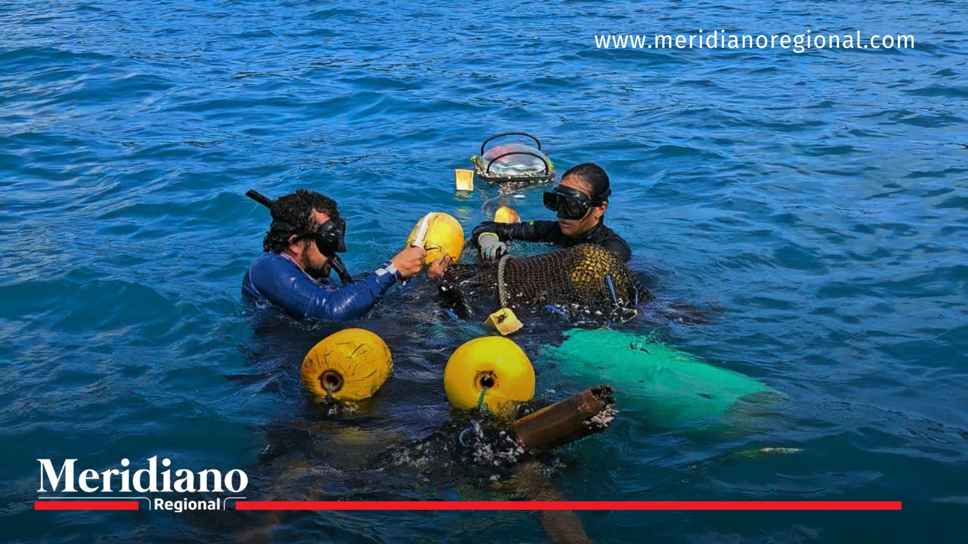 Importante Rescate: Tortuga Golfina liberada de una Red por la Armada de Colombia