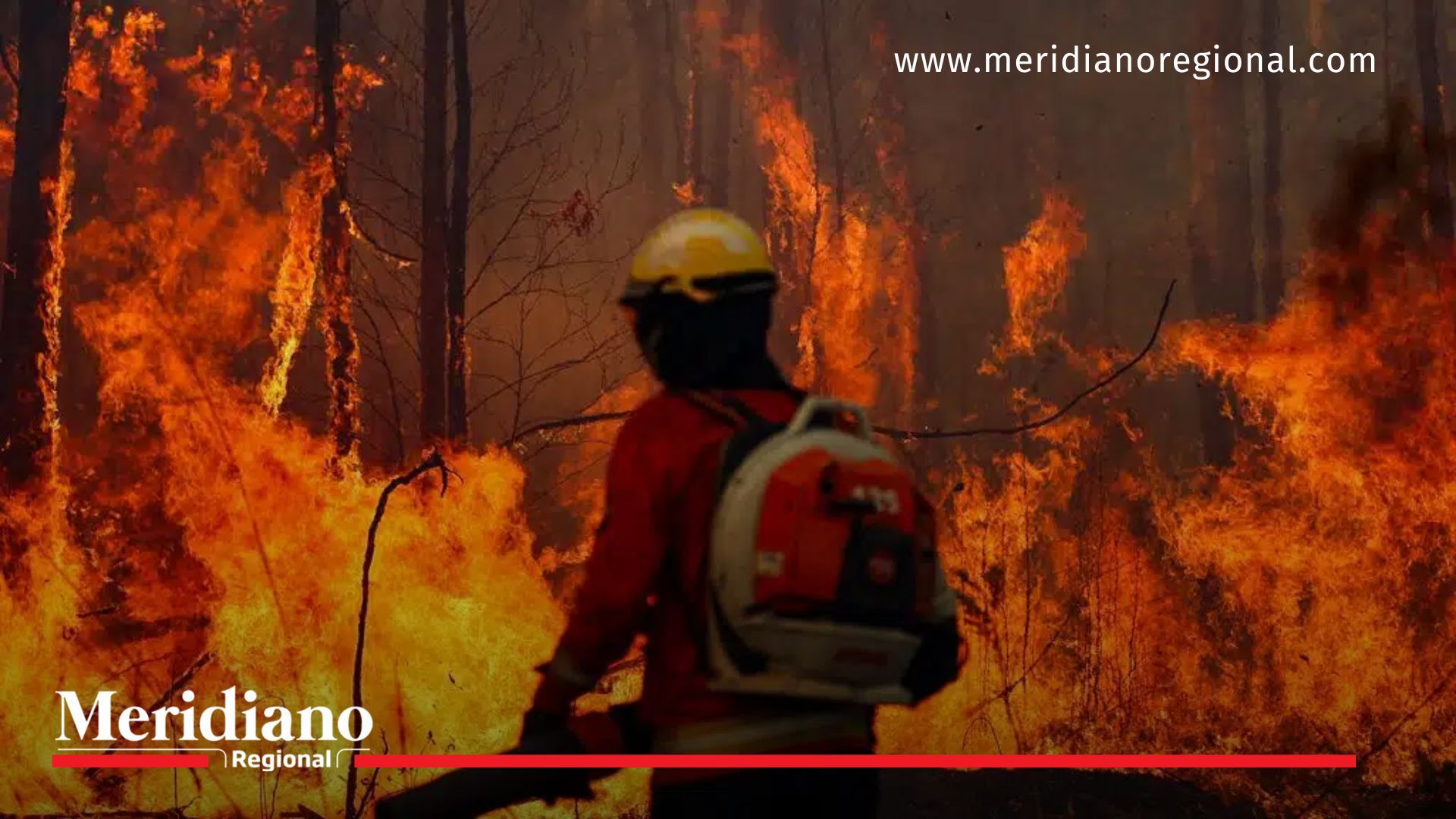 Bolivia Declara “Desastre Nacional” ante devastadores incendios forestales