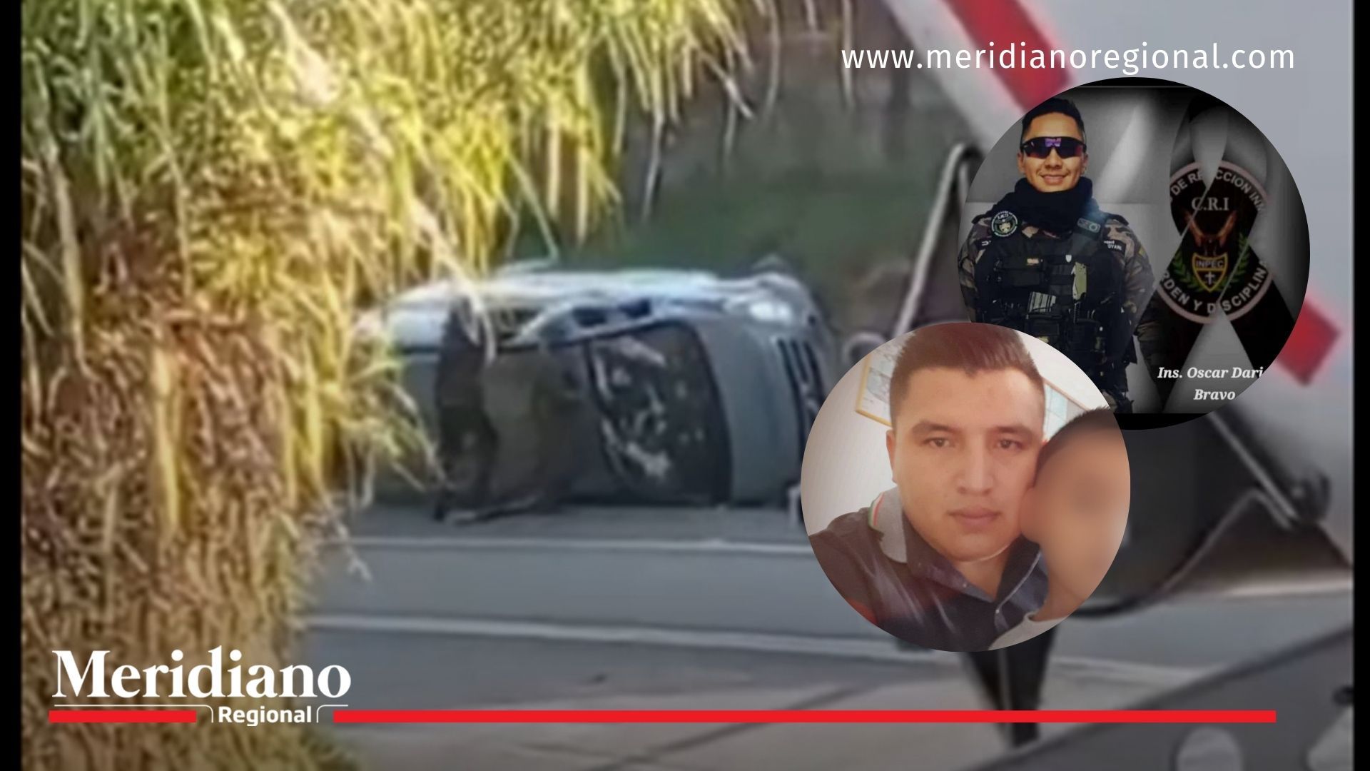 vehículo del