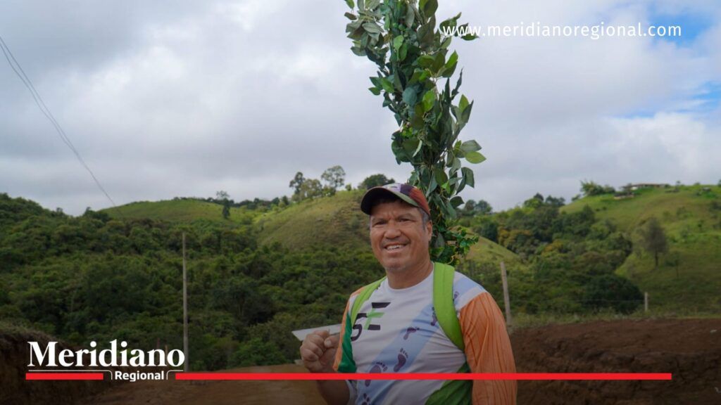 Popayán siembra más de 100 árboles en la quebrada La Paila - Meridiano Regional Popayán siembra más de 100 árboles en la quebrada La Paila