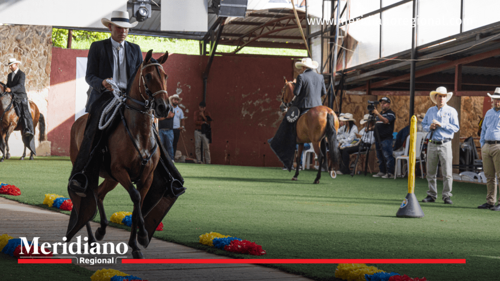 Éxito rotundo en la 27ª Feria Equina y Agropecuaria   -  Criadero Santa Rosa - Alcaldía de Popayán - Secretaría de Desarrollo Agroambiental y de Fomento Económico (DAFE) - alianza con ASDECCA - Iván Darío Arturo Pabón, secretario de DAFE - Santiago Berrio, representante de ASDECCA - Alex Paterrine, juez cunícola - Alcalde Popayán - Juan Carlos Muñoz - Alcalde Popayán  Juan Carlos Muñoz