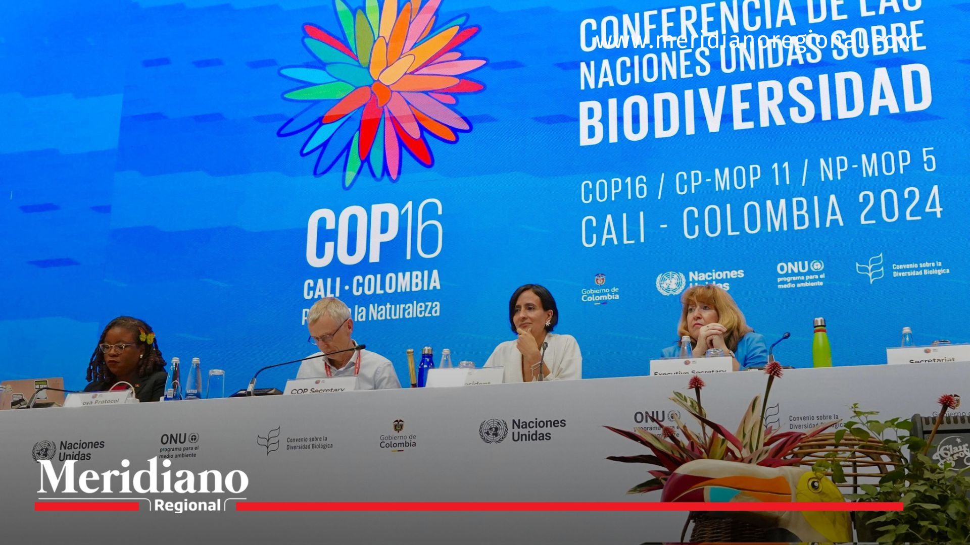 Comunidades afrodescendientes tendrán acceso a recursos para financiar proyectos de biodiversidad 