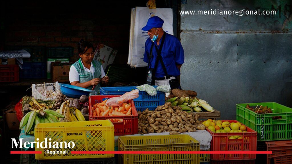 Suben precios de alimentos en noviembre por lluvias y menor cosecha - Meridiano Regional Suben precios de alimentos en noviembre por lluvias y menor cosecha