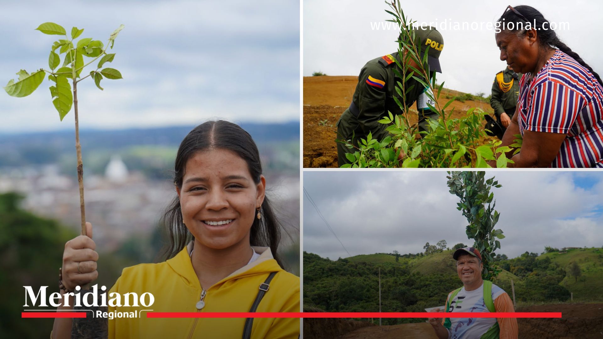 Popayán siembra más de 100 árboles en la quebrada La Paila - Alcaldía de Popayán - Cedro - Fresno - Guayacán- barrio Altos de la Colina - quebrada La Paila - Secretaría DAFE - Hilda Medina Peña