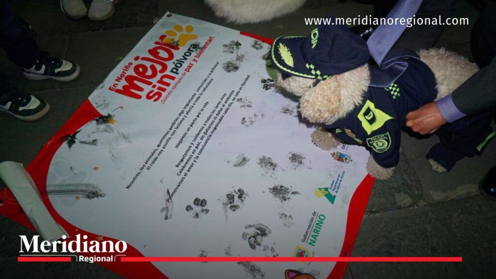 Nariño- Colombia- firma- pacto- pólvora- afectaciones- animales- personas- compromiso- celebración- vida- luz- salud- medio ambiente- - Meridiano Regional Nariño- Colombia- firma- pacto- pólvora- afectaciones- animales- personas- compromiso- celebración- vida- luz- salud- medio ambiente-