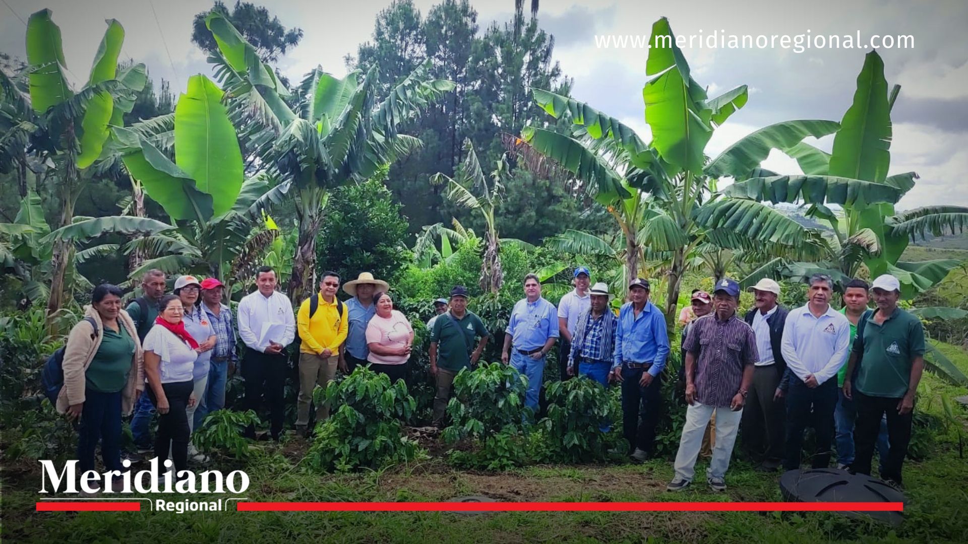 Encuentro- cafeteros- Cajibío- Cauca- familias- café- cultivos- Colombia- departamento- gremio- Comité de cafeteros- región-