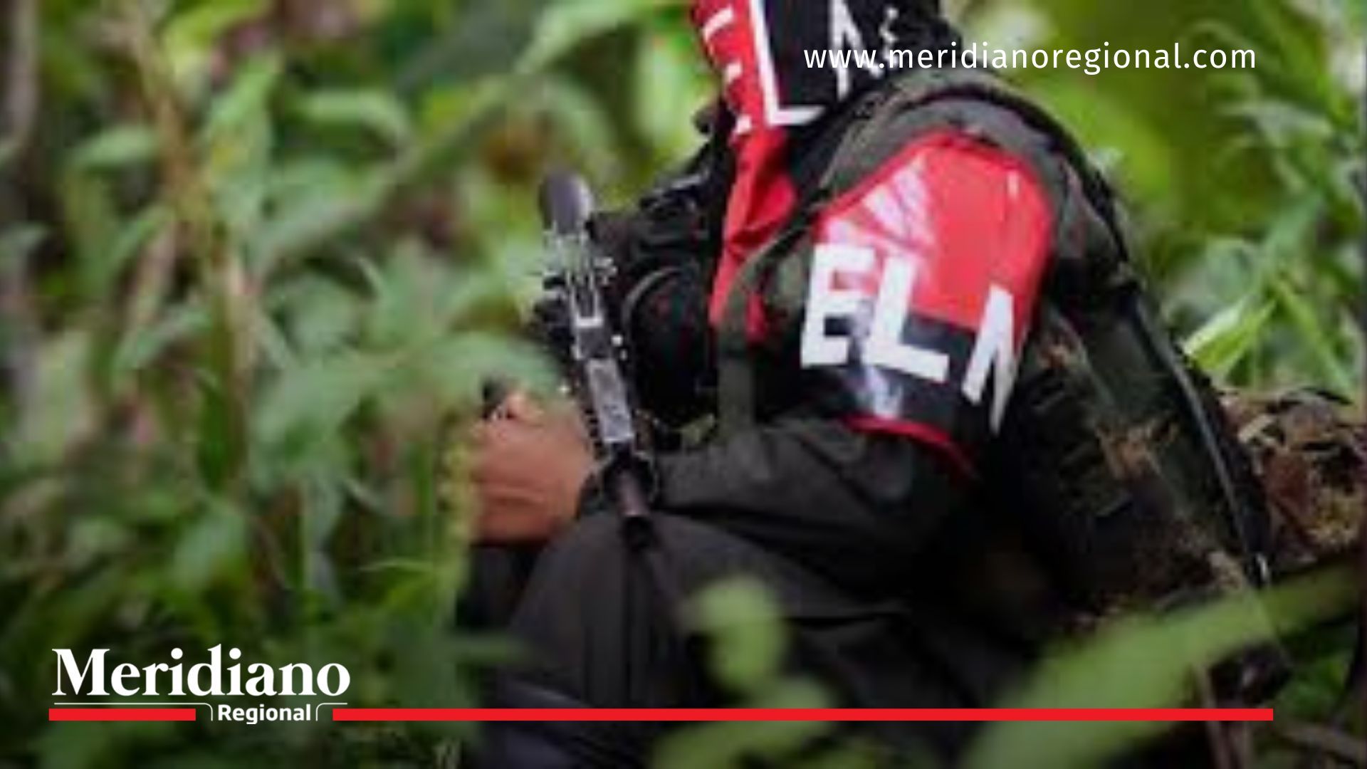 El ELN anuncia cese al fuego por Navidad ELN- anuncio- cese al fuego- gesto de paz- Colombia- seguridad- población- proceso de paz- gobierno nacional- fuerzas armadas-