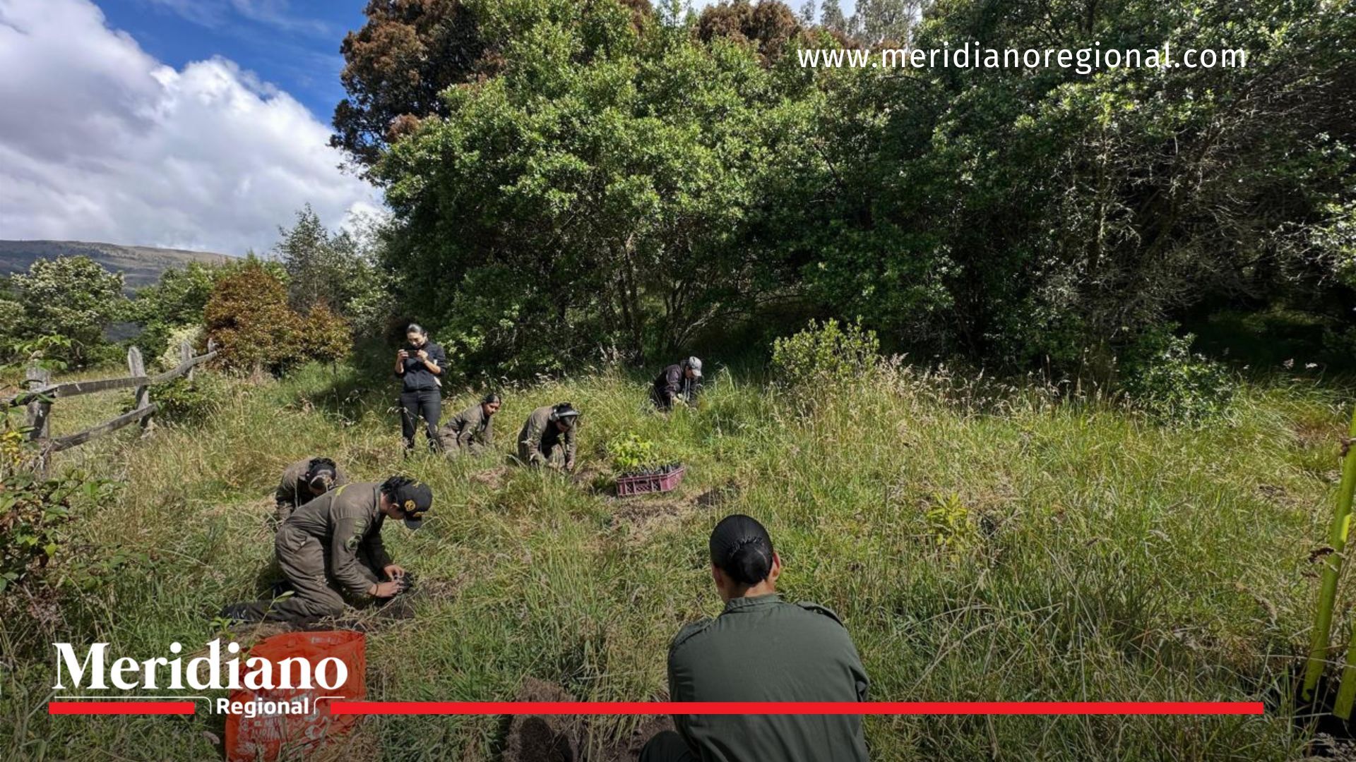 Iniciativa ecológica logra plantar 20.000 árboles en Duitama Iniciativa ecológica- plantación- arboles- Duitama- Boyacá- Colombia- meta- expectativa- Fuerzas Militares- biodiversidad- ecosistemas- naturaleza-