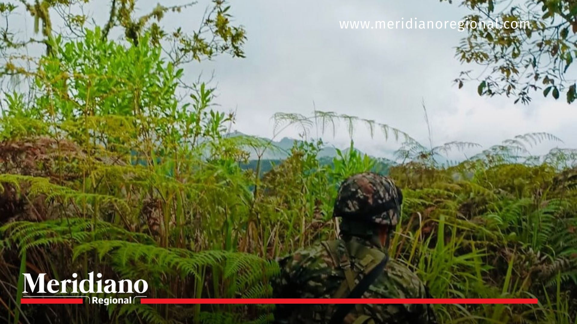 Soldado y líder social mueren en enfrentamientos en Ortega soldado- líder social- asesinatos- conflicto armado- crisis humanitaria- combates- Ejército- FARC- corregimiento- Ortega- Cajibío- Cauca- Colombia-
