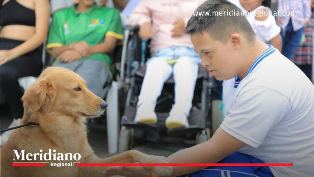Trabajo- articulado- bienestar- personas- discapacidad- celebración- Popayán- Cauca- Colombia- conmemoración- - Meridiano Regional Trabajo- articulado- bienestar- personas- discapacidad- celebración- Popayán- Cauca- Colombia- conmemoración-