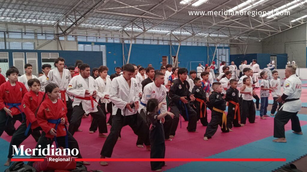 Palmira- Valle del Cauca- hapkido- Cauca- deportistas- representación- festival- deporte- Santander de Quilichao-