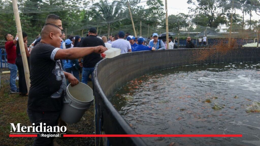 Energía limpia- pacífico colombiano- impulso- iniciativa- variante- Tumaco- Pasto- Nariño- cultivo- tilapia- Colombia- - Meridiano Regional Energía limpia- pacífico colombiano- impulso- iniciativa- variante- Tumaco- Pasto- Nariño- cultivo- tilapia- Colombia-