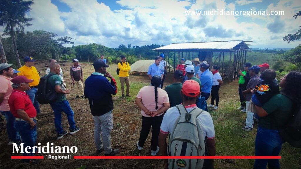 Encuentro- cafeteros- Cajibío- Cauca- familias- café- cultivos- Colombia- departamento- gremio- Comité de cafeteros- región- - Meridiano Regional Encuentro- cafeteros- Cajibío- Cauca- familias- café- cultivos- Colombia- departamento- gremio- Comité de cafeteros- región-