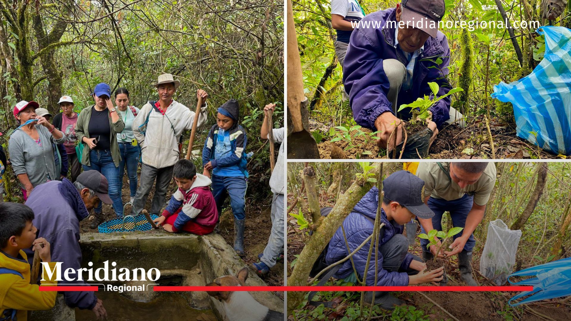 Emcaservicios Cauca - Plan de Gestión Social - Institución Educativa Nuestra Señora del Rosario San Sebastián - Institución Educativa Nuestra Señora del Rosario San Sebastián - Reforestación en San Sebastián Cauca - noticias cauca