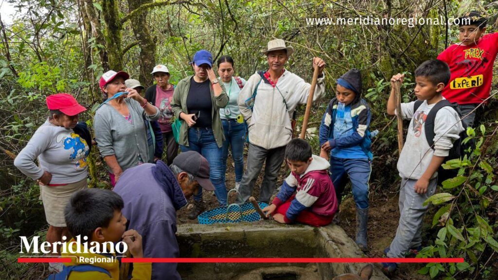 Emcaservicios Cauca - Plan de Gestión Social - Institución Educativa Nuestra Señora del Rosario San Sebastián - Institución Educativa Nuestra Señora del Rosario San Sebastián - Reforestación en San Sebastián Cauca - noticias cauca - Meridiano Regional Emcaservicios Cauca - Plan de Gestión Social - Institución Educativa Nuestra Señora del Rosario San Sebastián - Institución Educativa Nuestra Señora del Rosario San Sebastián - Reforestación en San Sebastián Cauca - noticias cauca