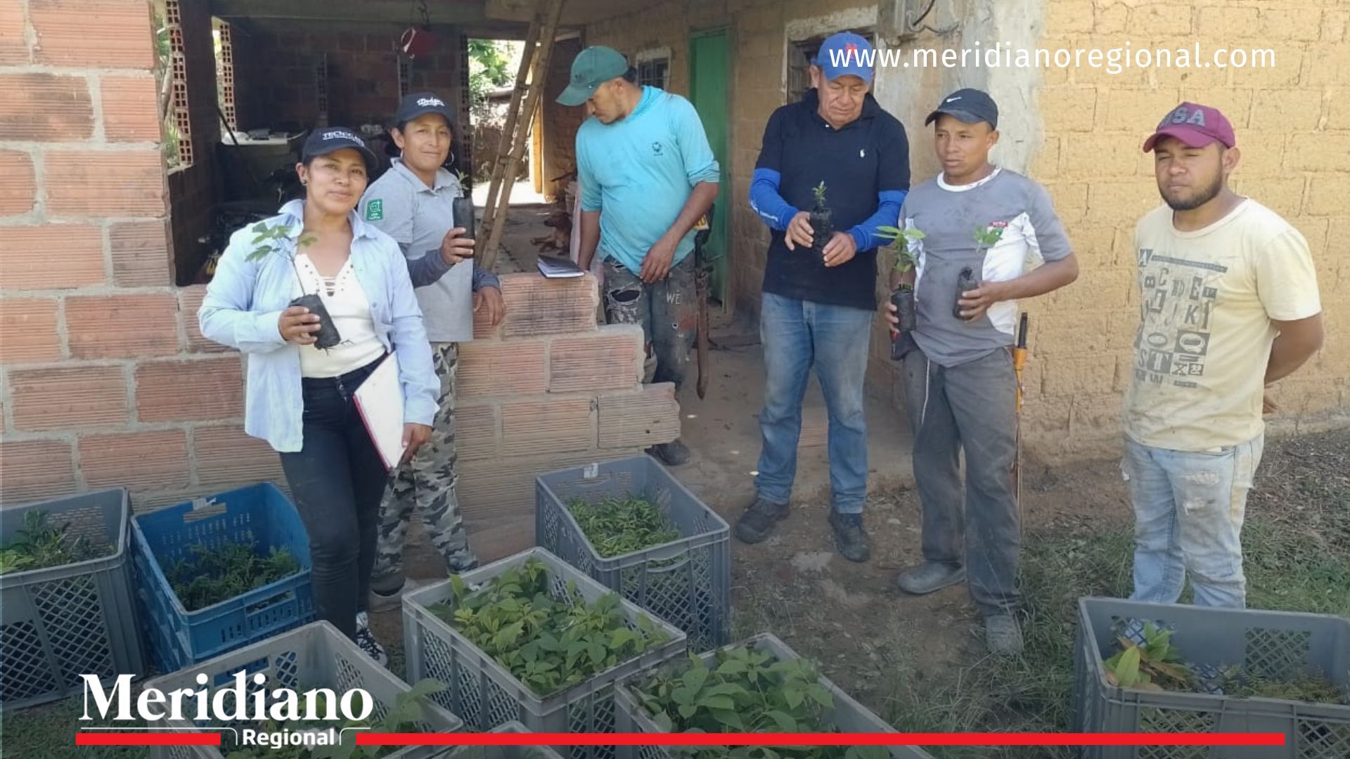 Entrega- plántulas- recuperación- campaña- reforestación- medio ambiente- Cajibío- Cauca- Colombia- naturaleza-