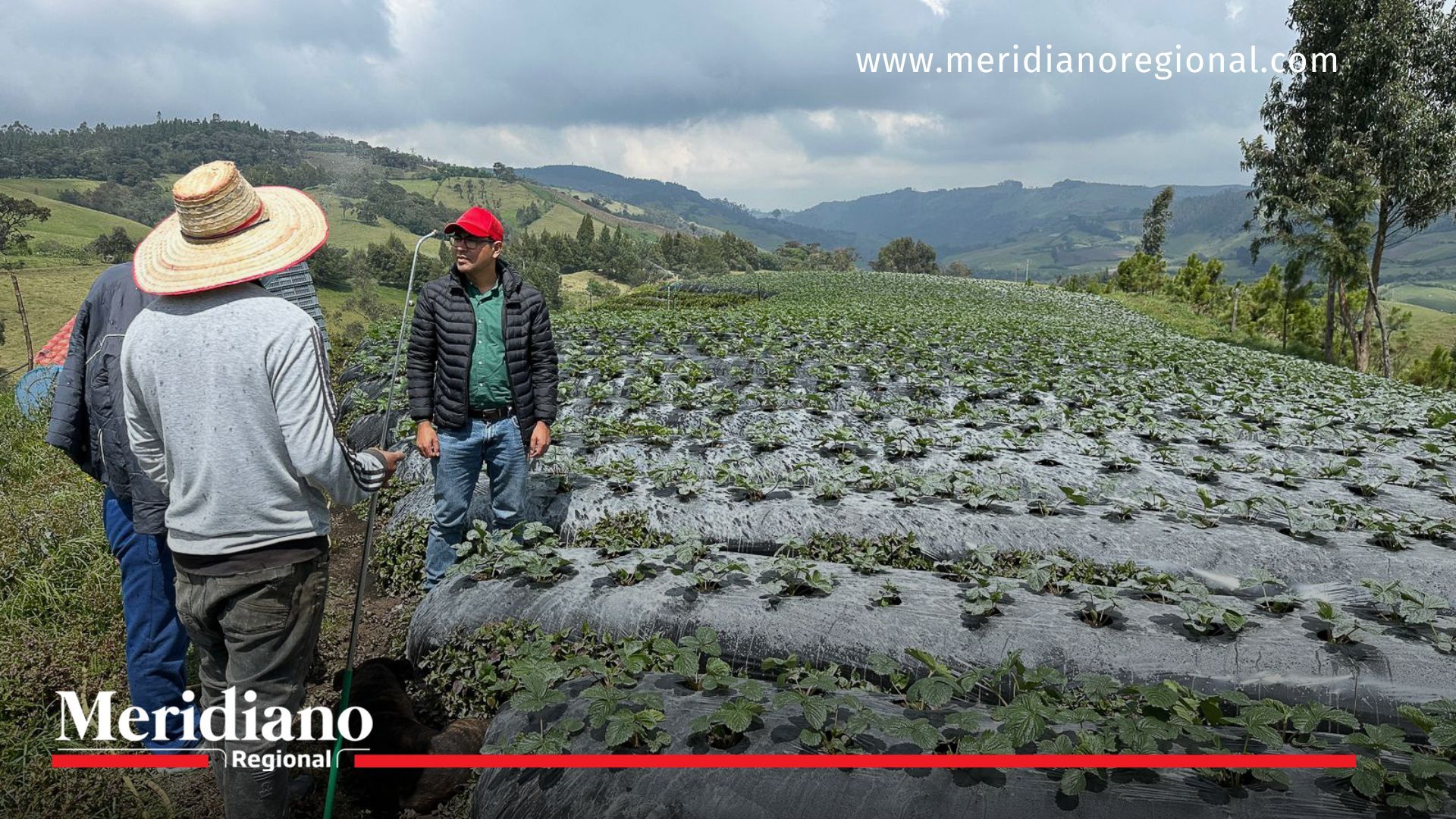 Los Coconucos: impacto en Sotará y llamado de ayuda Los Coconucos- actividad volcánica- riesgos- afectaciones- comunidad- ganadería- cultivos- viviendas- Sotará- Cauca- Colombia-