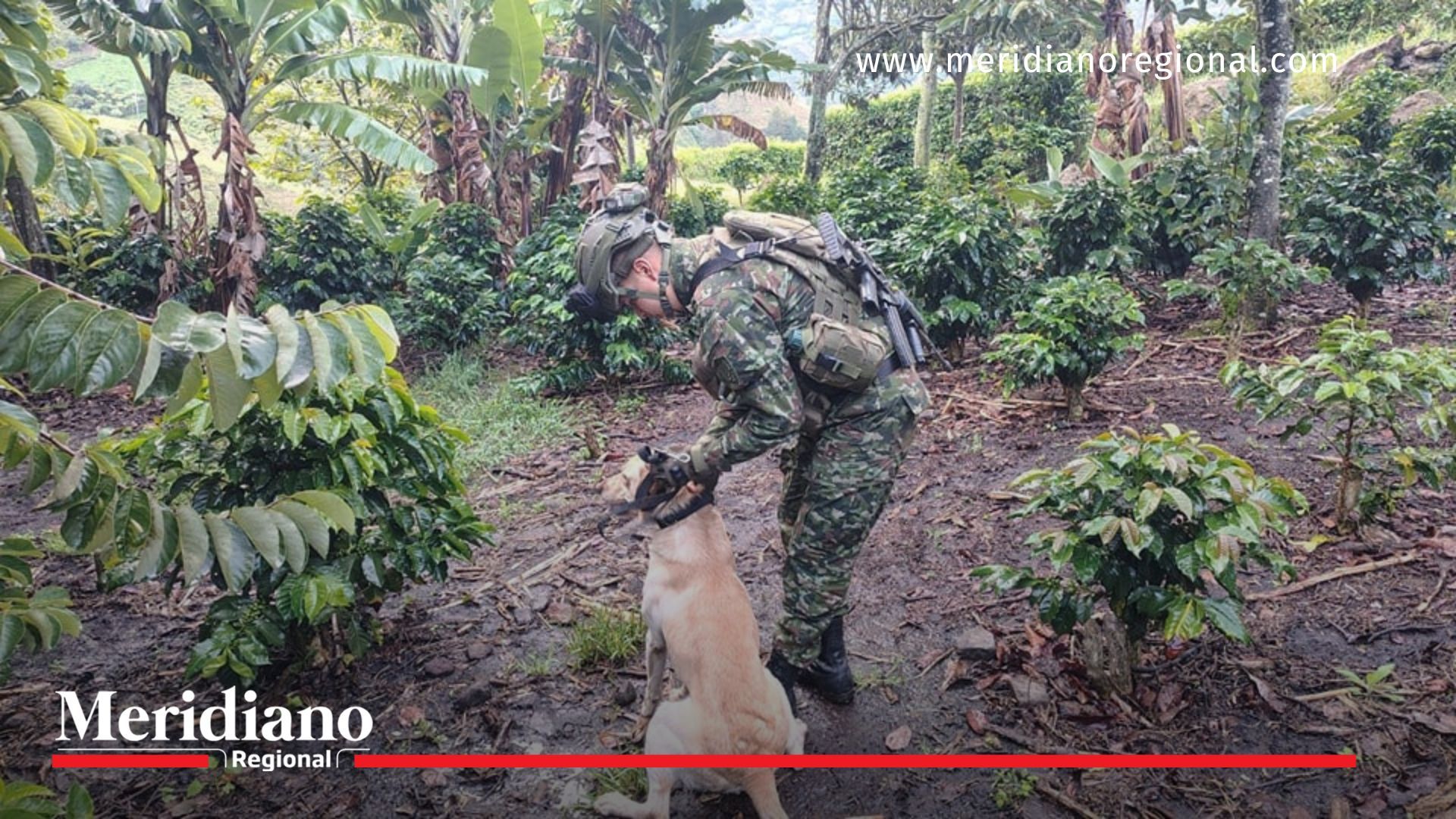 Ejército elimina amenaza explosiva en Yacuanquer, Nariño desactivacion- artefactos- explosivos- Ejército Nacional- seguridad- salud- comunidad- municipio- Yacuanquer- Nariño- Colombia-