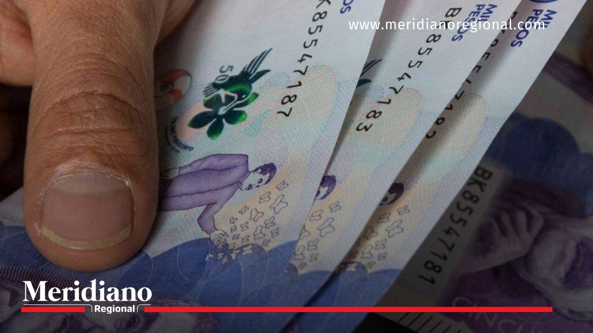 Reforma pensional: plazo final para elegir Accai Reforma pensional- plazo- traslado- cotización- aportes- pensión- Accai- sistema- comunidad- cotizantes- Colombia-