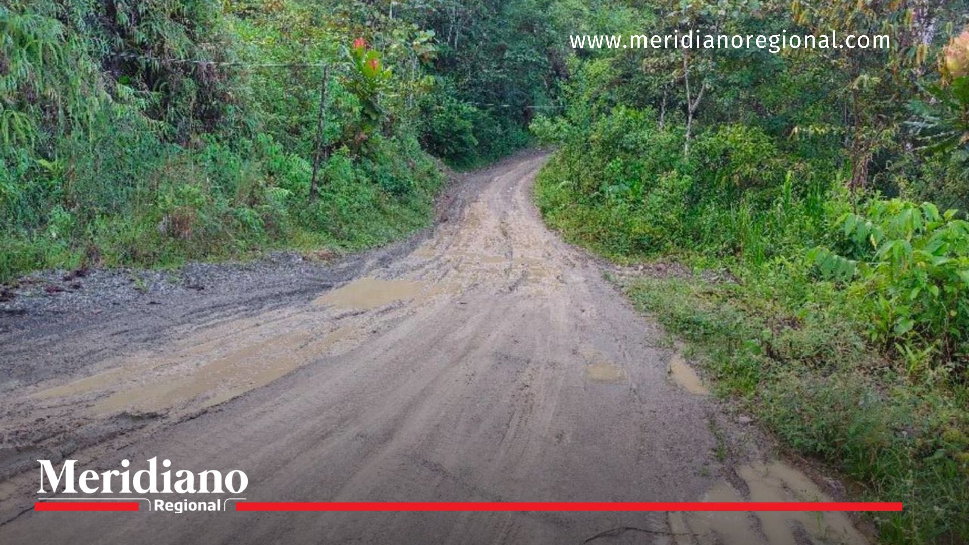 Intervención urgente en la vía a San José del Palmar Intervención- vía- mal estado- inversión- recuperación- trabajos- Gobernación del Chocó- San José del Palmar- Chocó- Colombia- movilidad- tránsito-