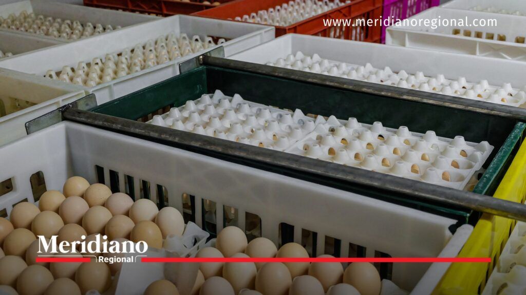 Banco de Alimentos Cali - Sanción a comedor comunitario - Venta ilegal de donaciones en Cali - Mal uso de donaciones - Denuncias en el barrio Mariano Ramos - Justicia social en ayudas comunitarias - noticias cali - noticias valle - Meridiano Regional Banco de Alimentos Cali - Sanción a comedor comunitario - Venta ilegal de donaciones en Cali - Mal uso de donaciones - Denuncias en el barrio Mariano Ramos - Justicia social en ayudas comunitarias - noticias cali - noticias valle