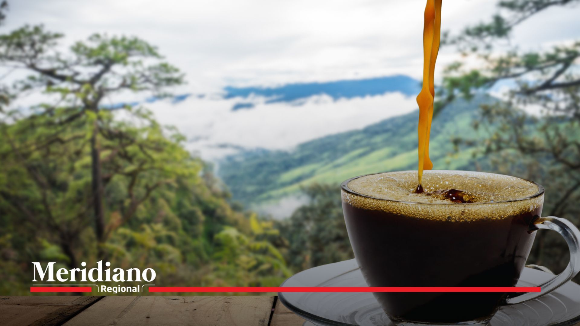 café-caucano - caficultura - cafés-de-especialidad - Cauca - café-colombiano - compradores-internacionales - Asia - Australia - Estados-Unidos - producción-de-café - calidad-del-café - sostenibilidad - cambio-climático - subasta-internacional - Coffee-Fest-España - exportación-de-café - perfiles-de-sabor - café-de-alta-calidad - mujeres-en-caficultura